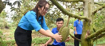 Tân Thạnh - Ươm mầm khởi nghiệp cho thanh niên