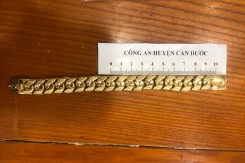 Cướp tiệm vàng, bắn 2 người bị thương, lãnh 15 năm tù Bắt nhanh đối tượng vào tiệm vàng giả vờ mua vàng rồi cướp