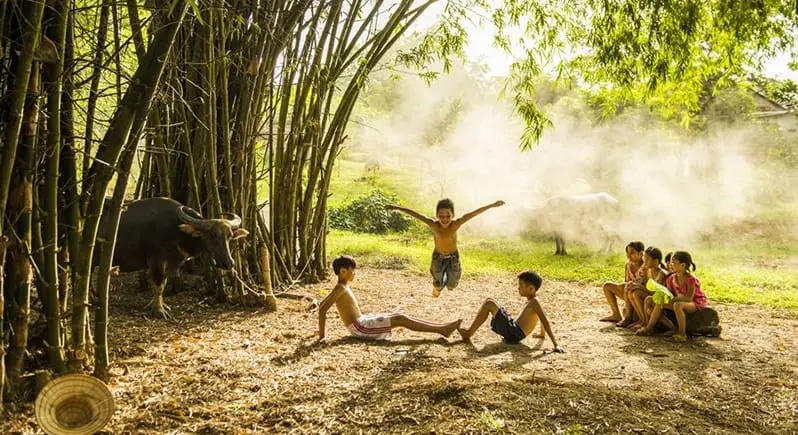 Ngày hè của tháng năm xưa