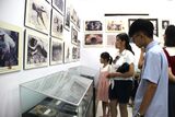 Trọn tình với biển, đảo Tây Nam: Những dấu tích hào hùng (Bài 2)