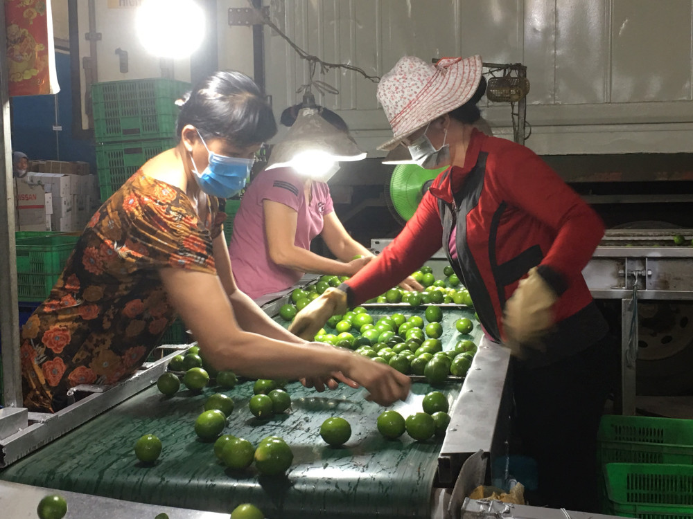 Long An's import-export turnover reachs over 6.1 billion USD