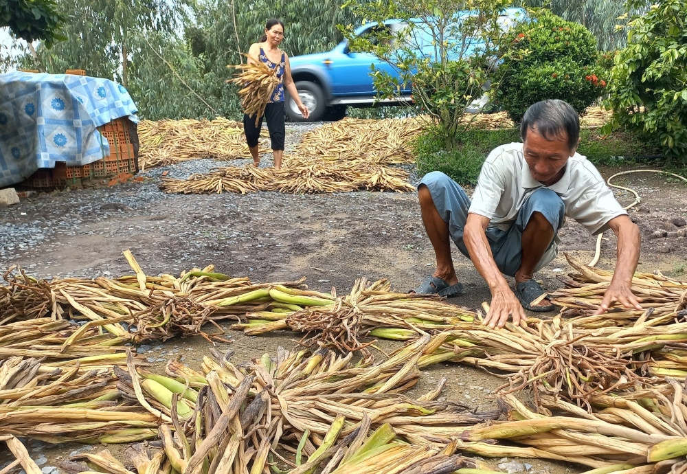 Phát huy truyền thống thanh niên xung phong trong thời kỳ mới