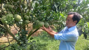 Vĩnh Hưng: Nỗ lực thực hiện các chỉ tiêu Nghị quyết năm 2024