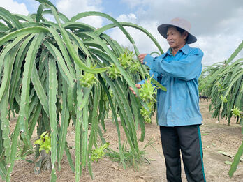 Châu Thành: Không còn cựu chiến binh thuộc diện hộ nghèo