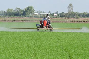 Chủ động phòng, chống dịch bệnh trên cây lúa Chủ động phòng, chống dịch bệnh trên cây lúa