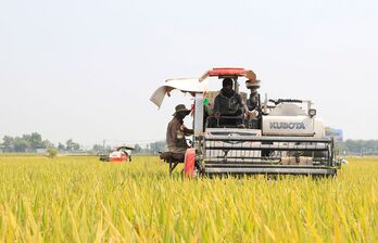 Quyết tâm thực hiện thắng lợi chỉ tiêu Nghị quyết năm 2024 Quyết tâm thực hiện thắng lợi chỉ tiêu Nghị quyết năm 2024