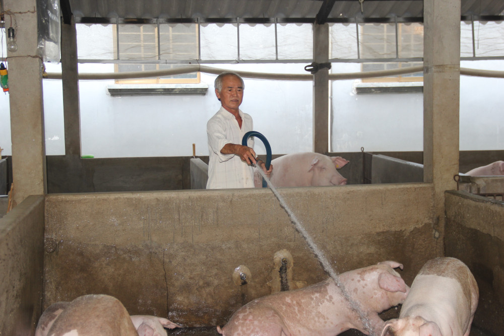 Hành trình làm giàu của một lão nông
