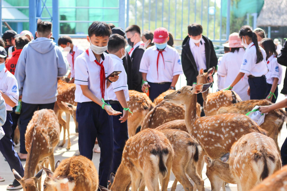 Khi lịch sử 'kể chuyện'