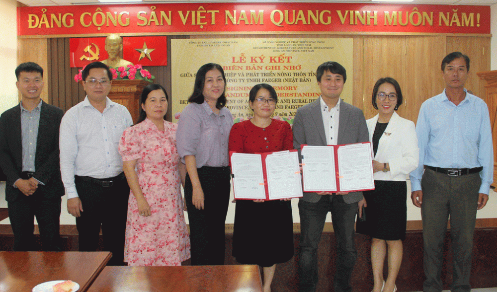 Doanh nghiệp Nhật Bản hỗ trợ nông dân sản xuất lúa giảm phát thải  