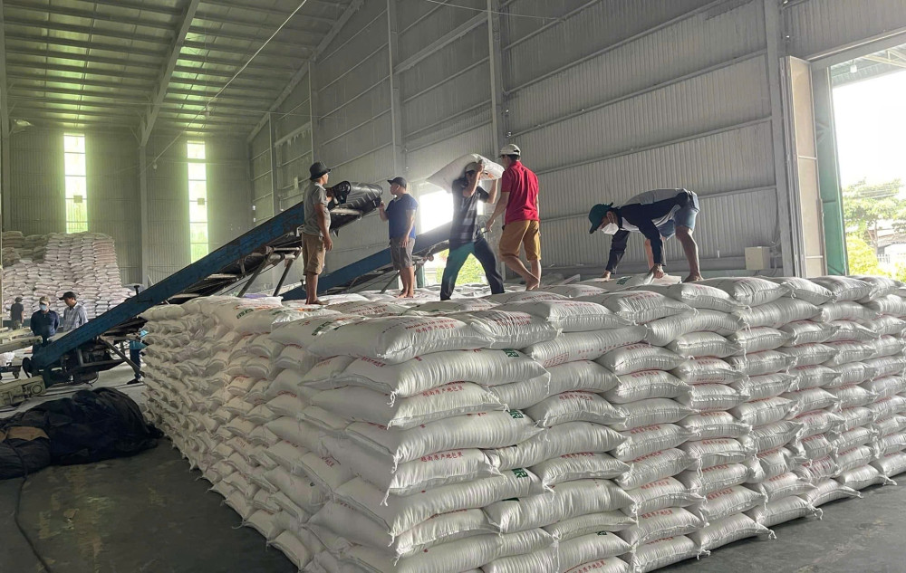 Doanh nghiệp xuất khẩu gạo tìm hướng đi mới