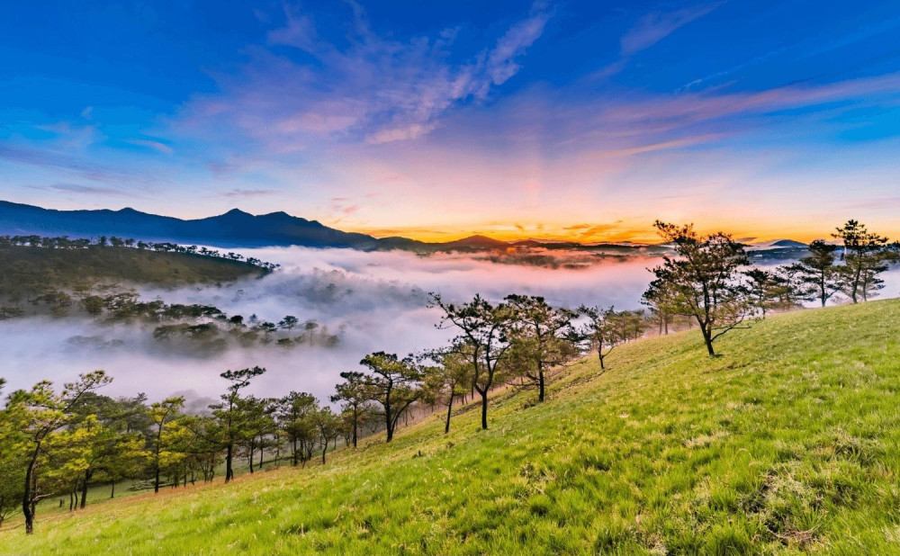 4 khách sạn, resort ở Đà Lạt thường xuyên ‘cháy phòng’ trên Traveloka