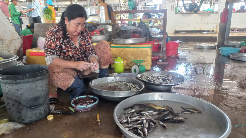 Lượng cá đồng mùa lũ ngày càng khan hiếm