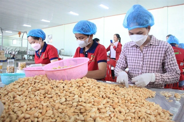Cashew industry faces risk of trade deficit