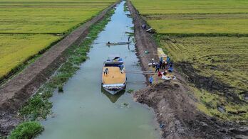 Thị xã Kiến Tường: Tăng tốc hoàn thành các chỉ tiêu Nghị quyết năm 2024 Thị xã Kiến Tường: Tăng tốc hoàn thành các chỉ tiêu Nghị quyết năm 2024