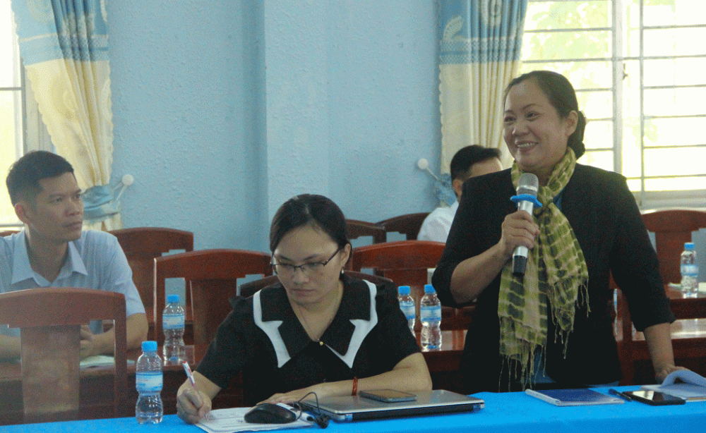 Developing yellow apricot craft village in Tan Tay commune associated with tourism development in Long An province