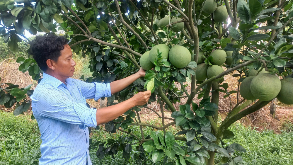 Vĩnh Hưng: Nỗ lực thực hiện đạt các chỉ tiêu nghị quyết