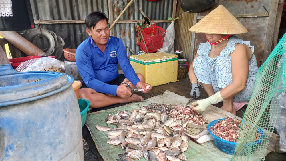 Nông dân ra đồng đánh bắt cá mùa lũ