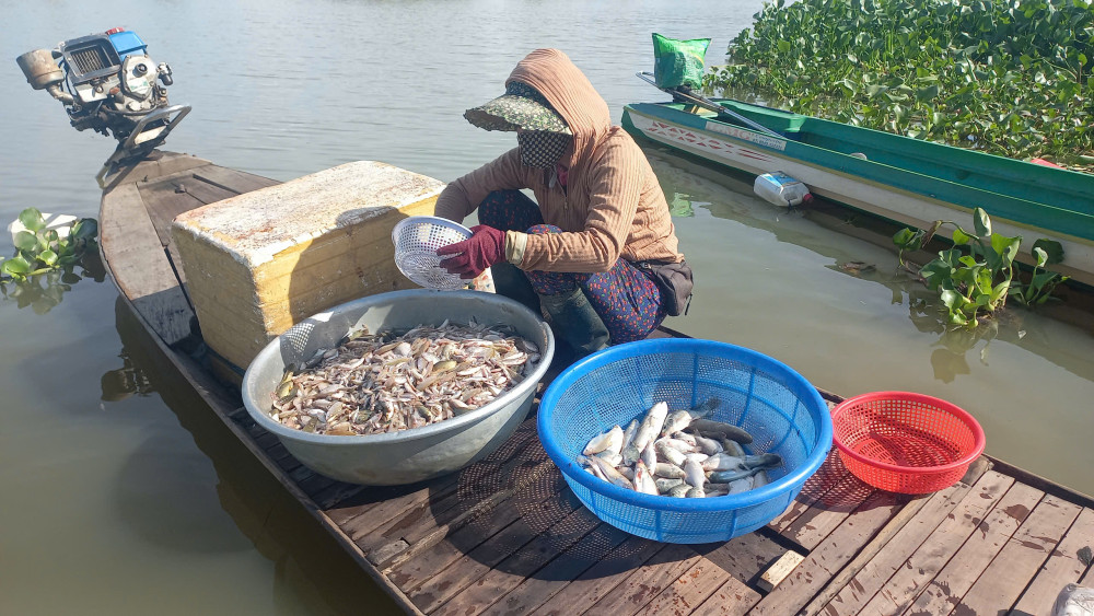 Nông dân ra đồng đánh bắt cá mùa lũ