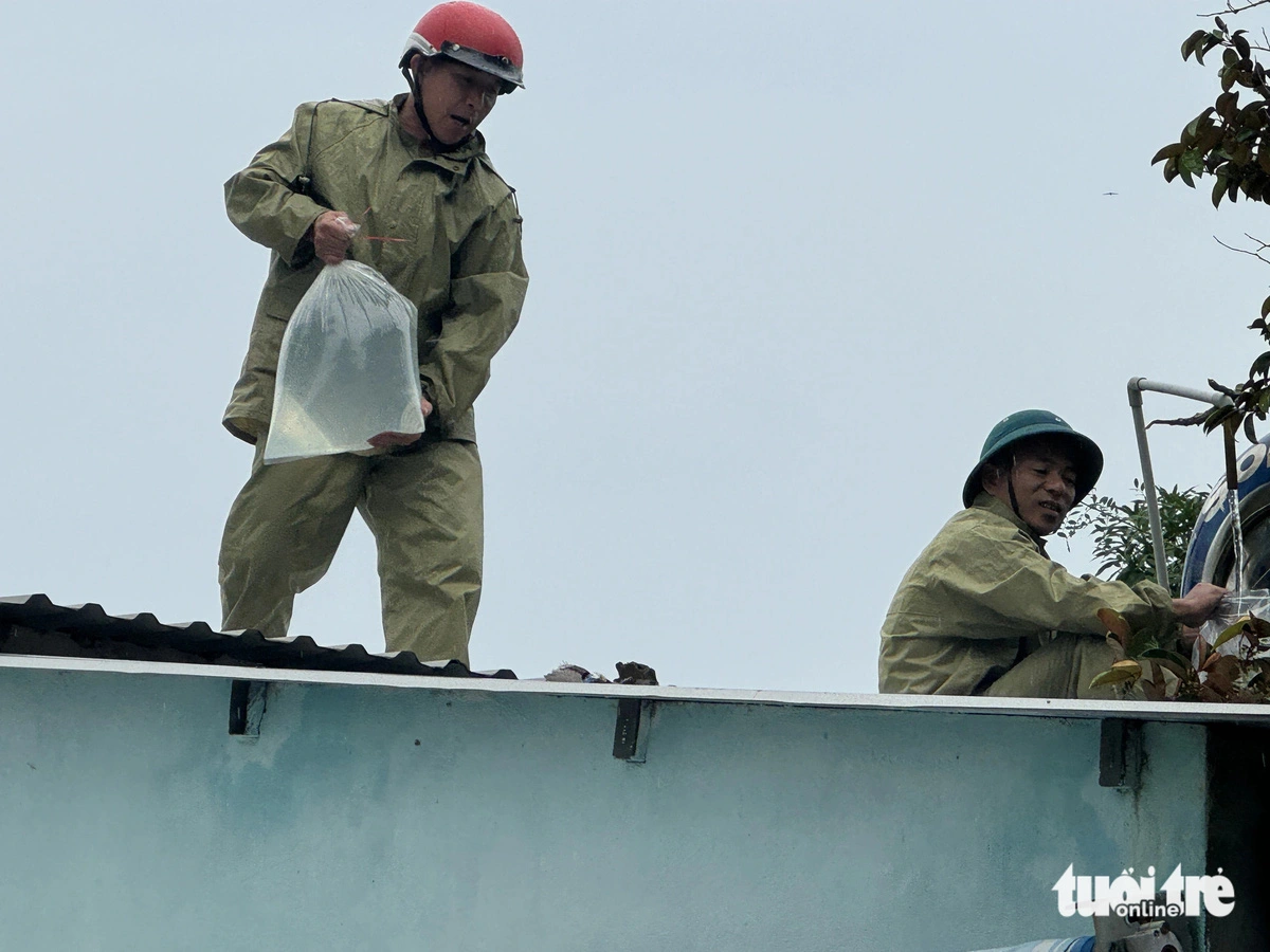 Bão Trà Mi đang đi nhanh, chiều tối nay miền Trung bắt đầu mưa lớn Lực lượng xung kích thôn Hòa Thượng giúp những người già neo đơn chằng mái nhà - Ảnh: LÊ TRUNG