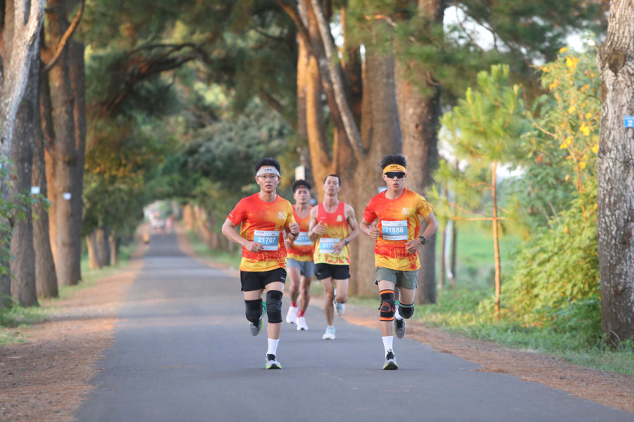 Pleiku sẵn sàng cho Ngày hội Văn hóa-Du lịch 2024