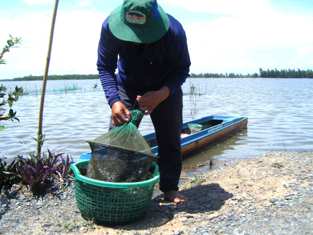 Tháp Mười nửa mùa nước dâng