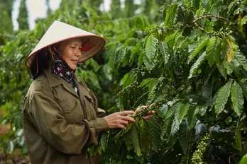 Agro-forestry-fishery trade surplus surges over 71% in 9 months