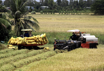 Đồng bằng sông Cửu Long: Nhiều tỉnh, thành phố nguy cơ bị ngập do triều cường