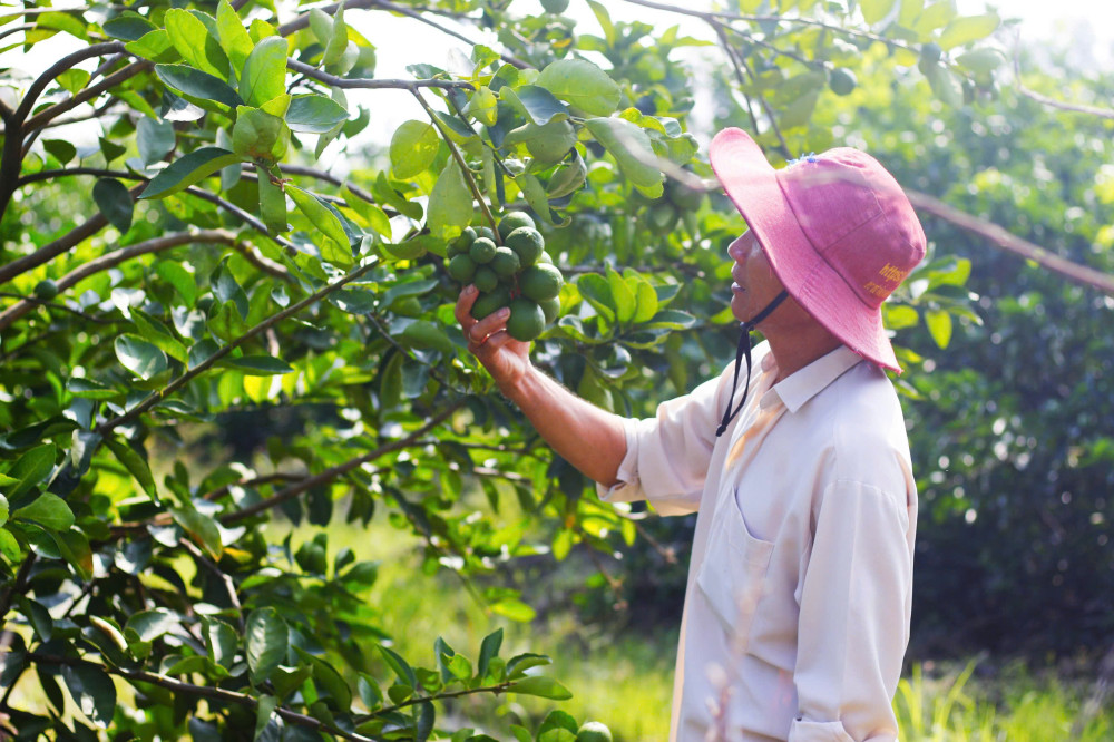 Về Long An thưởng thức các loại đặc sản