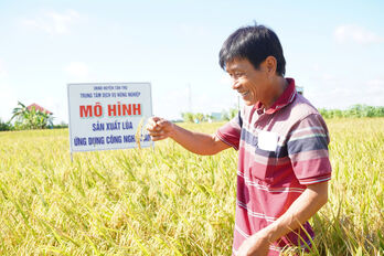 Quê Mỹ Thạnh: Dân vận khéo trong xây dựng nông thôn mới
