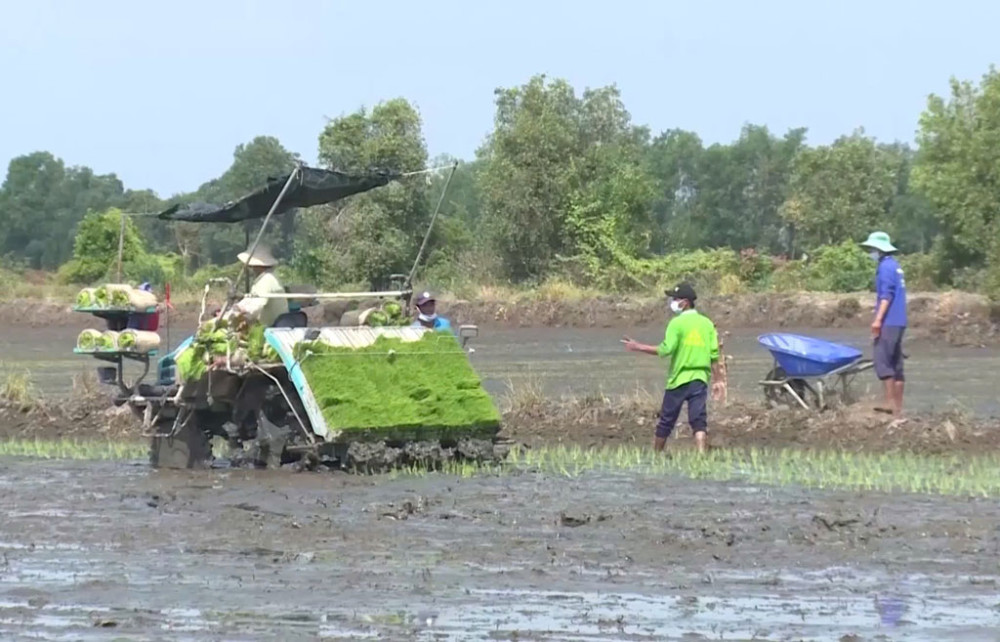 Promoting consuming linkages helps farmers feel secure in production
