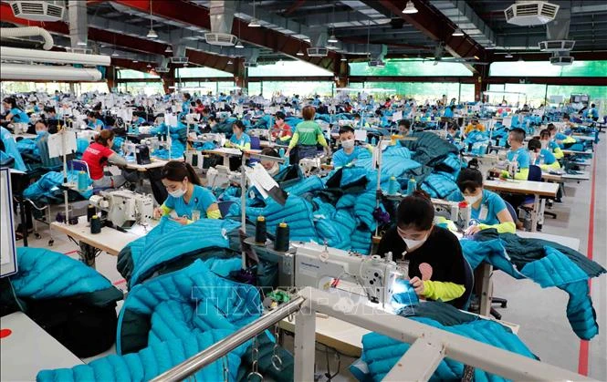 Vietnam's textile export turnover hits 44 billion USD in 2024