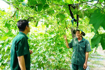 Khen thưởng nhiều tập thể, cá nhân có thành tích tốt trong phong trào thi đua 'Cựu chiến binh gương mẫu'