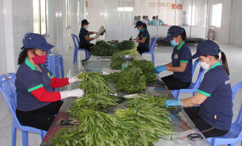 Long An has 253 agricultural cooperatives
