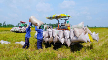 A successful year for agriculture sector