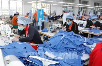 Vietnam posts trade surplus of 24.77 billion USD in 2024