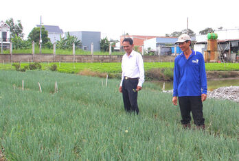 Farmers are ready for Tet