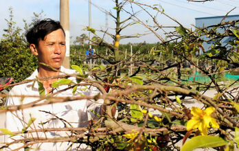 Craft villages preparing for Tet