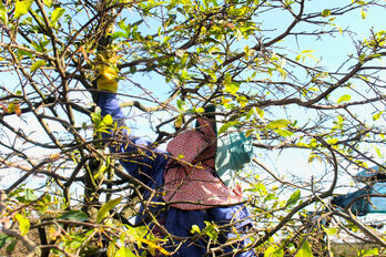 Southern Tet tradition
