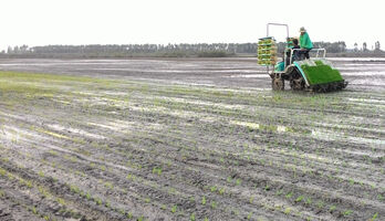 Long An striving to reach top 10 in Provincial Green Index ranking