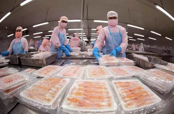 Export of aquatic products tops 774 million USD in January