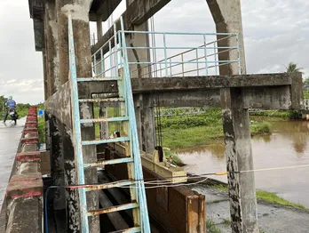 Cảnh báo xâm nhập mặn gia tăng tại Cà Mau