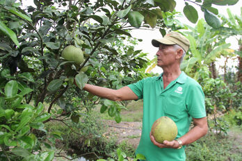 Farmers' responsibility in protecting consumers' health