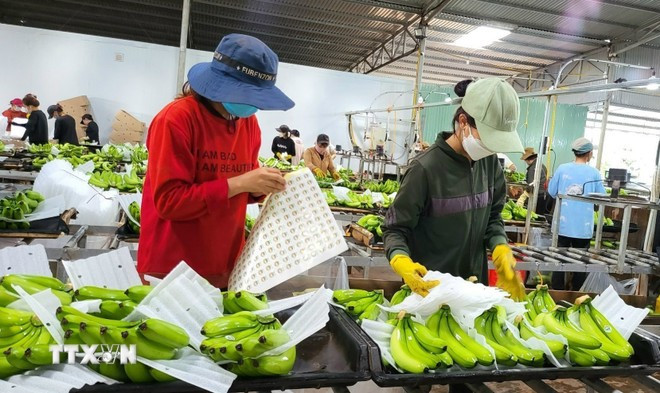 Agricultural exports: finding opportunities amidst trade war threat
