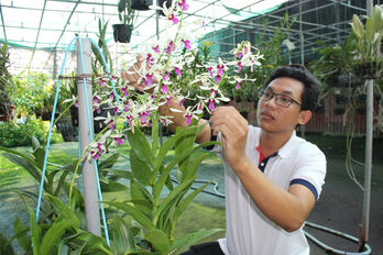 Practical agricultural models bring positive results
