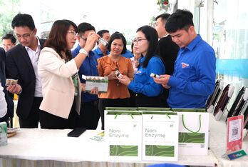 Ươm tạo doanh nghiệp khởi nghiệp đổi mới sáng tạo