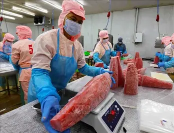 Vietnam’s tuna exports face new challenges