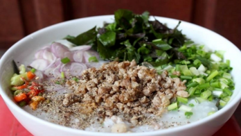 Tác dụng giải cảm từ dược liệu chứa hoạt chất kháng khuẩn
