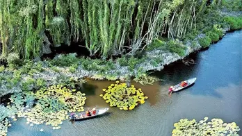 Sustainable forest ecotourism helps promote economic growth, environmental preservation