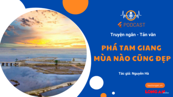 Phá Tam Giang mùa nào cũng đẹp