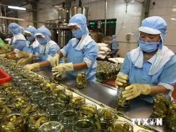 Vietnam's small business growth soars to a four-year high